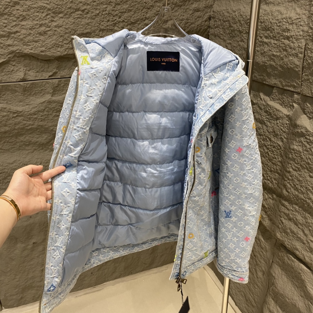 Louis Vuitton Down Jackets